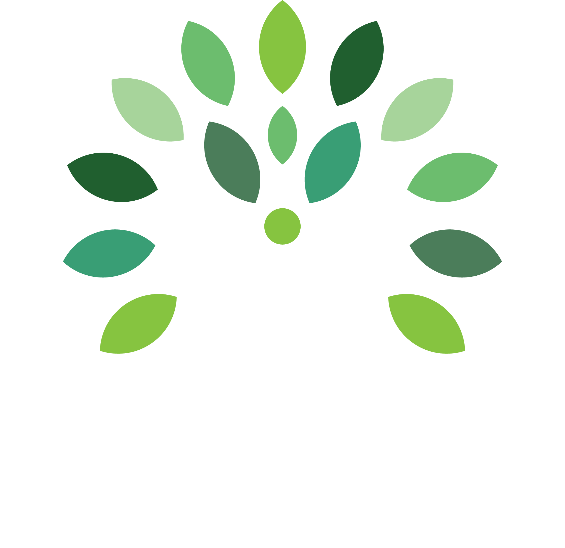 Trust & Grow Consulting