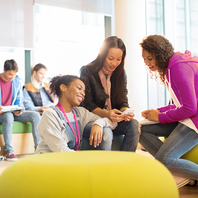 Consulting for MTSS, Wellness Rooms & Equity-Centered Systems